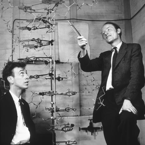 Watson and Crick with a model of DNA in 1953.