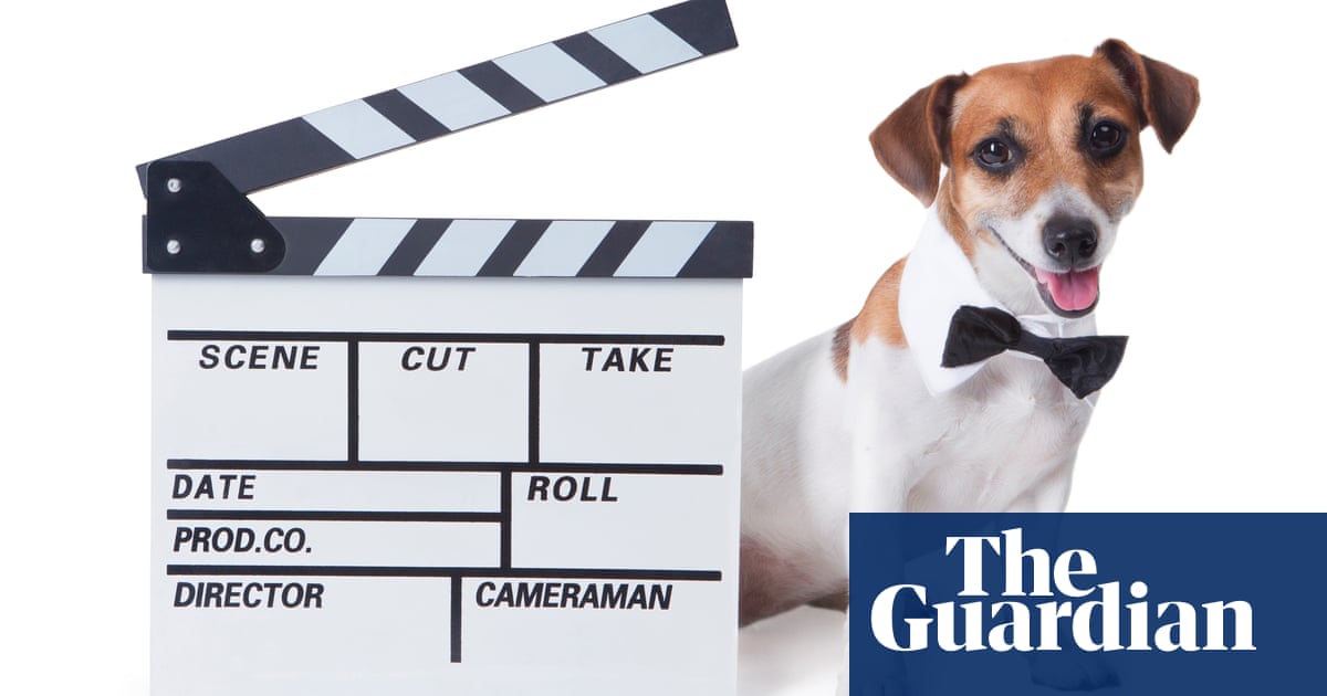Readers reply: do animals in film and TV know that they’re acting?