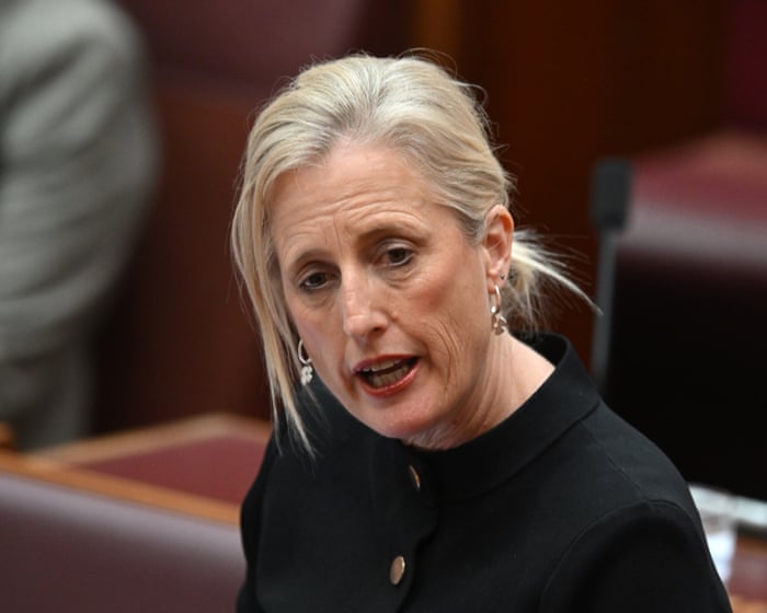 Australian government could explore using AI for cabinet submissions despite security concerns