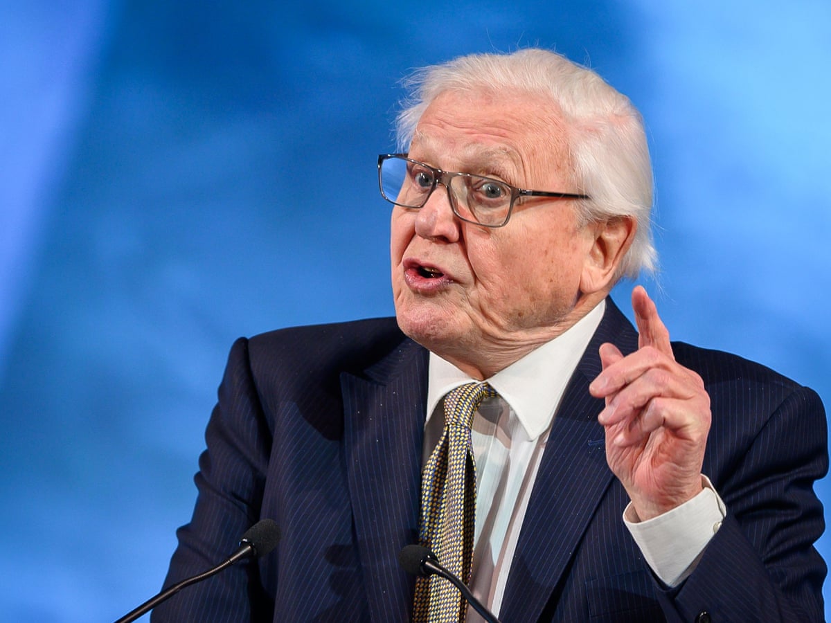 David Attenborough Tells Davos The Garden Of Eden Is No More David Attenborough The Guardian