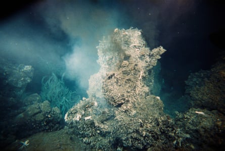 Tiny crabs, tubeworms, and other sea life live next to a hot hydrothermal vent. The heat and minerals expelled by the vent allow these creatures to survive without sunlight at the ocean’s floor.
