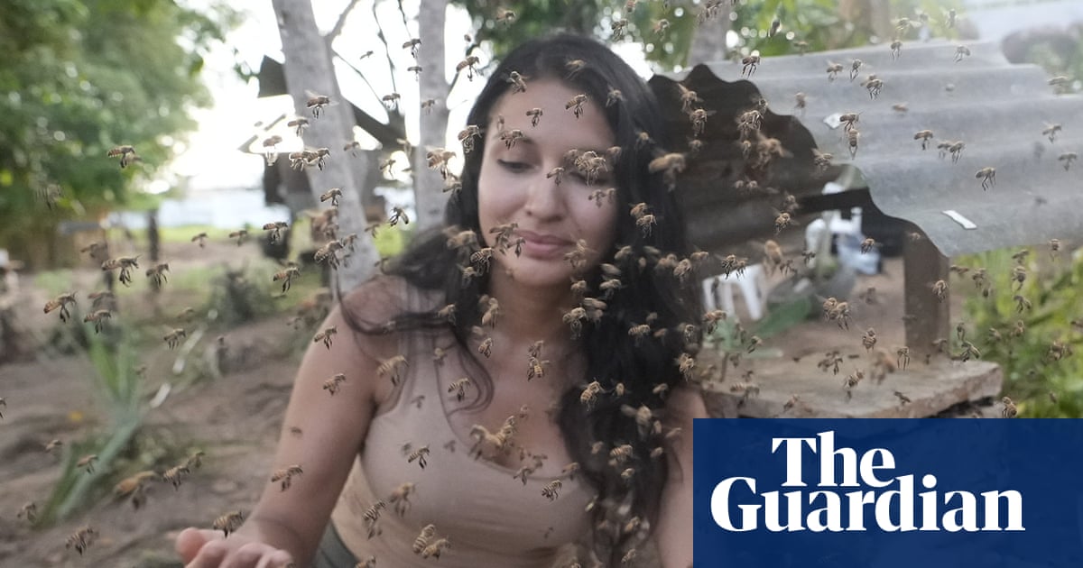 Stingless bees from the Amazon granted legal rights in world first