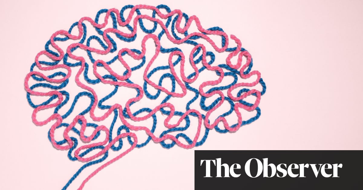 Biology society and behavior the development of sex differences in cognition