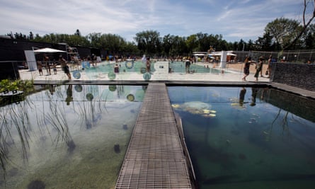 A no-swimming area that works as part of the filtration system at the outdoor natural pool in Edmonton, Canada. The pool uses a filter, hydrobotanical beds and intense ultraviolet from the sun. to keep the water clean.