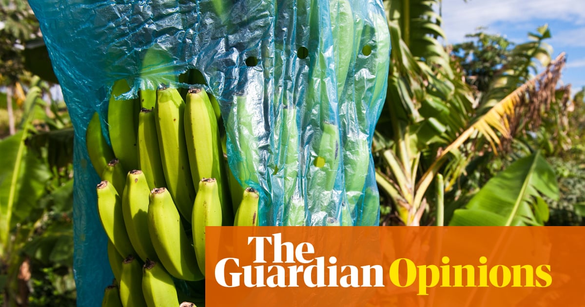 France is starting to own its role in the slave trade. Now it needs to repair its Caribbean legacy | Marie-Annick Gournet