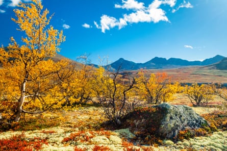 Rondane national park
