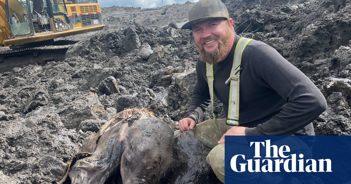 Experience: I unearthed a mammoth from the ice age