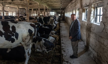 Serhii Vorobyov with some of his surviving cattle