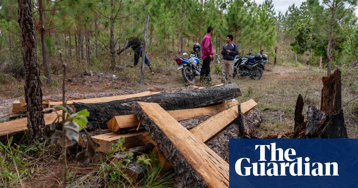 Killed, dismembered and scattered: the Honduran father and son who made a stand against illegal logging