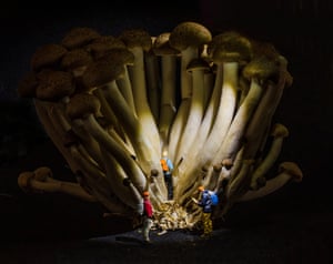 Miniature figures in ‘forest’ of mushrooms