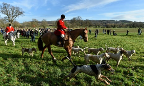 A horse and dogs at the Avon Vale hunt in Wiltshire in December 2017
