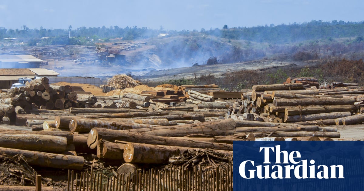 Brazil activists decry green rollbacks as senate passes devastation bill'