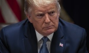 ‘It is our considered judgment,’ the historians wrote, ‘that if President Trump’s misconduct does not rise to the level of impeachment, then virtually nothing does.’