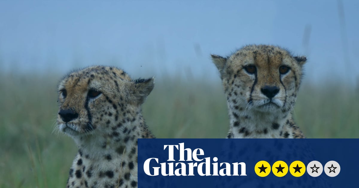 Force of Nature review – this nature show turns the climate crisis into a pompom-shaking spectacle