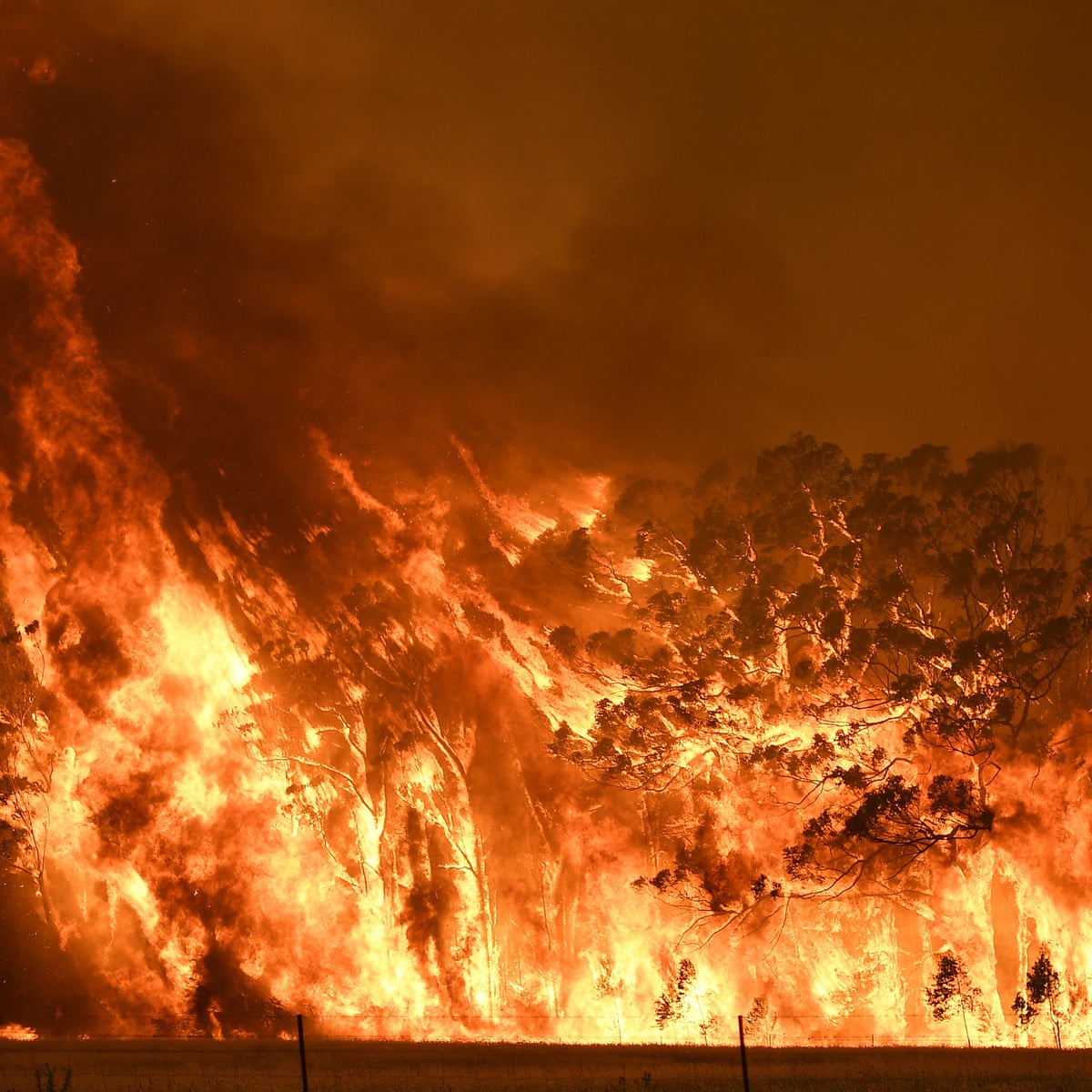 Australian Bushfires How The Morrison Government Failed To Heed Warnings Of Catastrophe Australia News The Guardian