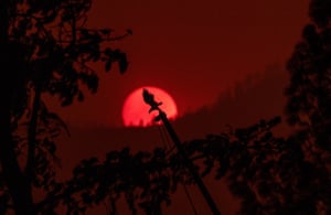 An eagle ornament at the top of a damaged flag pole is seen against the setting sun in Redding.