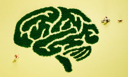 Illustration of people exercising in a maze in the shape of a brain