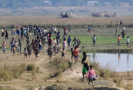 A crowd of people run away from a herd of elephants in rural India