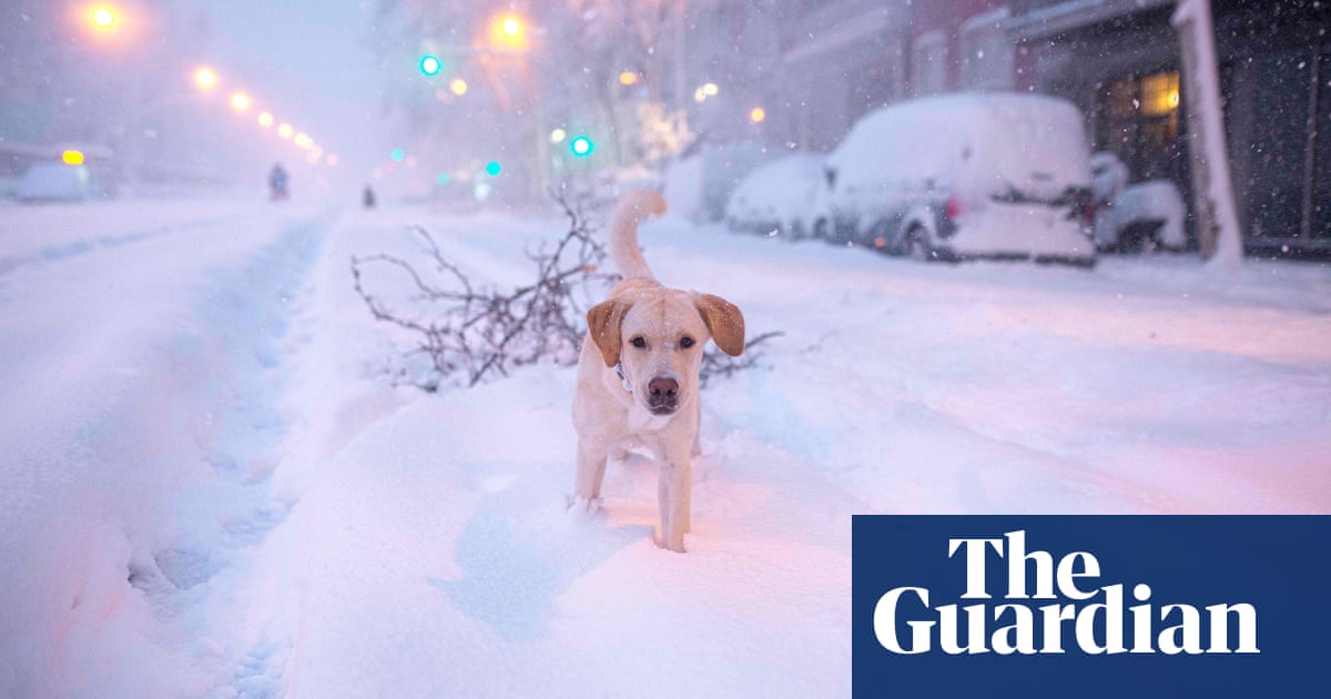 Storm Filomena Causes Rare Heavy Snow In Spain In Pictures Weather The Guardian Storm Filomena Causes Rare Heavy Snow In Spain In Pictures Weather The Guardian