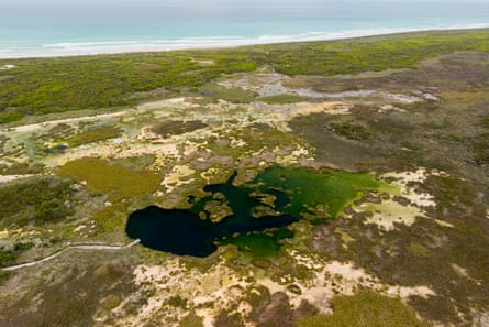 A wetland from the air