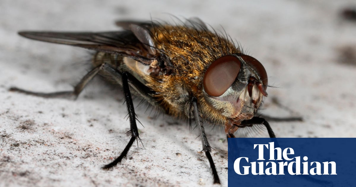 https://www.theguardian.com/society/2016/jul/26/disgust-science-public-health-hygiene