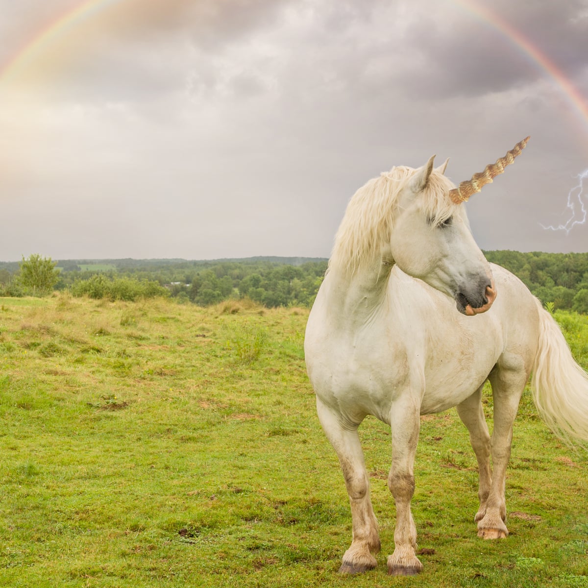 Why don't unicorns exist? You asked Google – here's the answer ...
