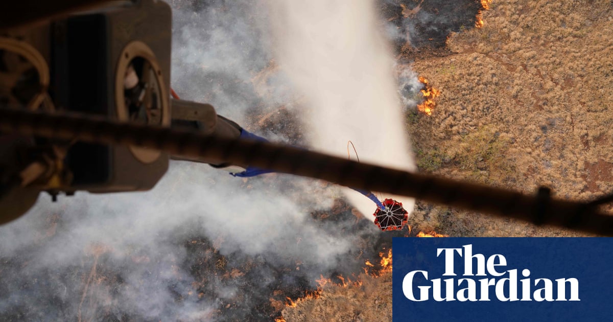 Nonnative grass species blamed for ferocity of Hawaii wildfires The Guardian Nonnative grass species blamed for ferocity of Hawaii wildfires The Guardian
