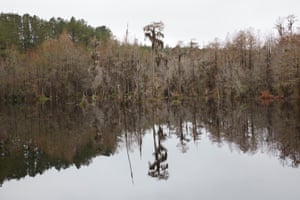 A swamp on a still but overcast day with trees reflected in the water