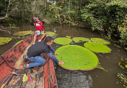 Men in a boat inspect some waterlilies floating in water in the jungle