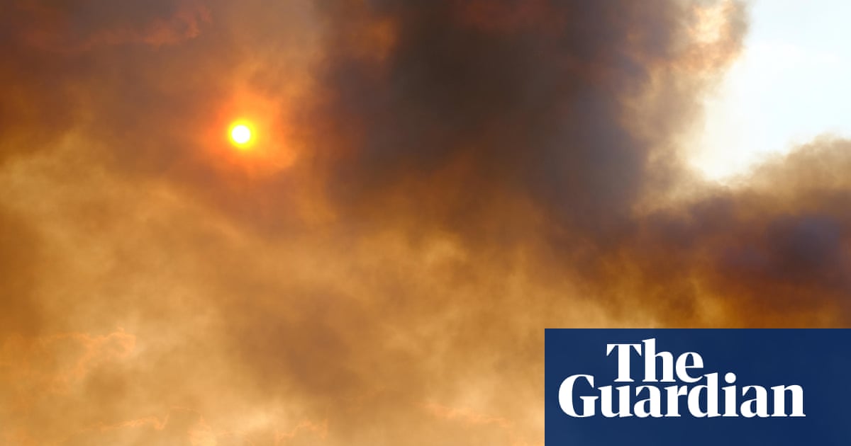 ‘When the forests burn, the sickness comes’: how protecting trees shields millions from disease
