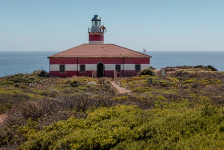 A lighthouse among bushes with the sea in the background