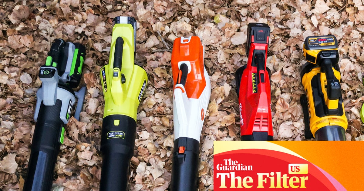 The best cordless leaf blowers in the US to cut down time without bothering neighbors