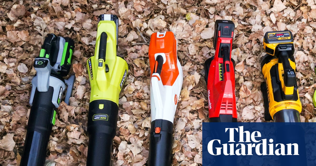 The best cordless leaf blowers in the US to cut down time without bothering neighbors