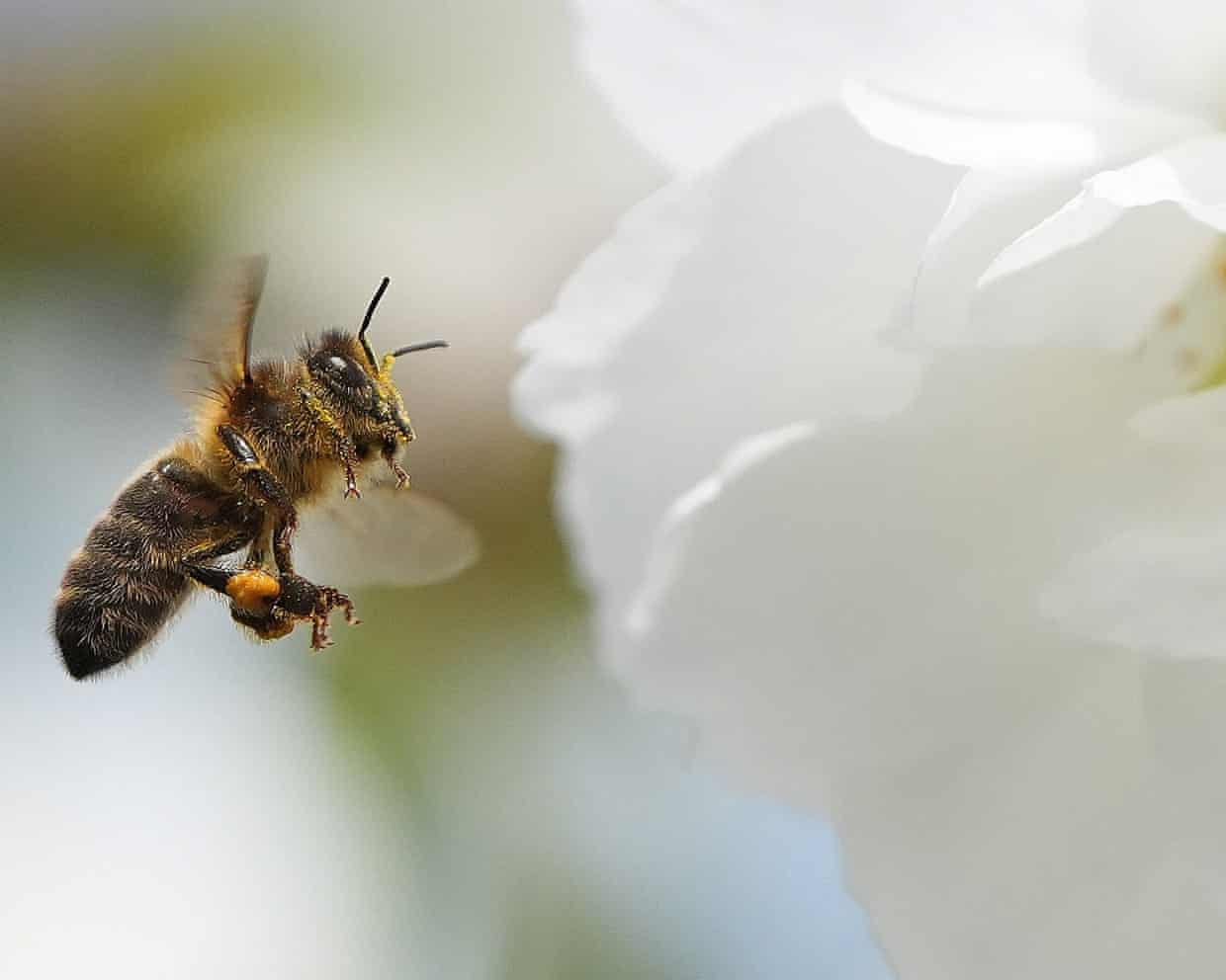 Why this matters for food
