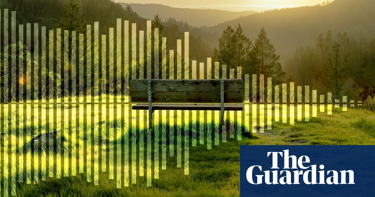 No birdsong, no water in the creek, no beating wings: how a haven for nature fell silent | Climate crisis