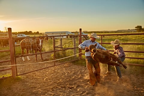 A cowboy part of the Spade cattlemen team handles a calf before branding it.