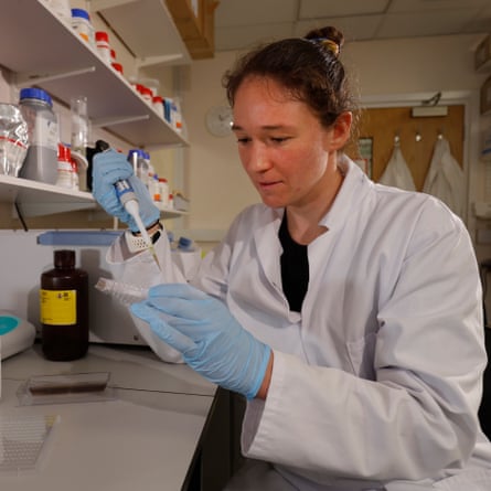 Jenna Armstrong, the women’s president of the Cambridge University Boat Club, conducting an experiment as part of her PhD research into how the development of placentas of pregnant women at high altitude can effect the health of both mother and baby at the department of physiology, development and neuroscience.