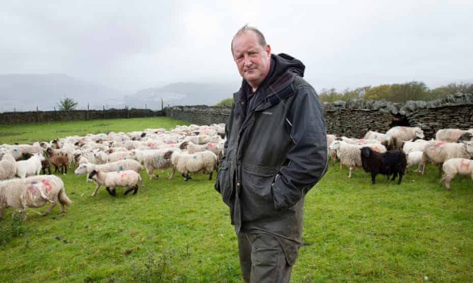 Put Out To Pasture Britain S Farmers Fear Surge Of Imports From Australia International Trade The Guardian