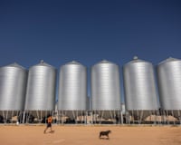 Deane Munro in an orange hi-vis vest and his dog Harry in front of a set of grain silos placed on a dusty orange-red plain