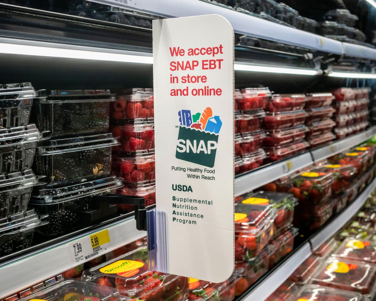 How to Apply Washington County Emergency Food Stamps: Quick Guide