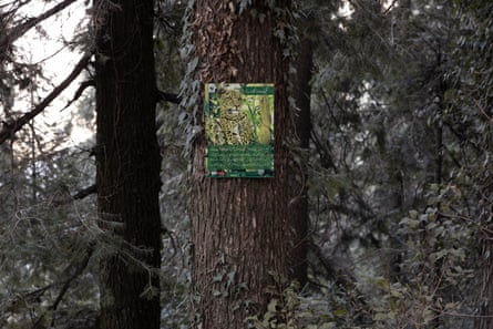 A WWF poster showing a leopard is tacked to a tree in Lalazar Park, Nathia Gali, Khyber Pakhtunkhwa province.