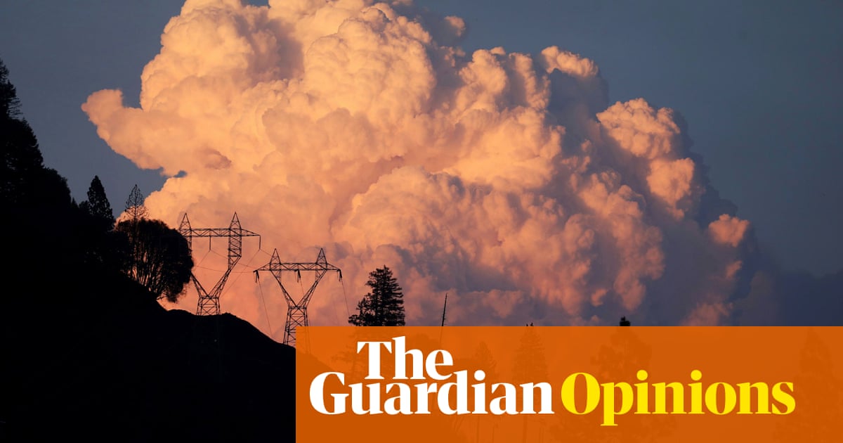 Yes, the climate crisis is terrifying. But I refuse to abandon hope | Arwa Mahdawi