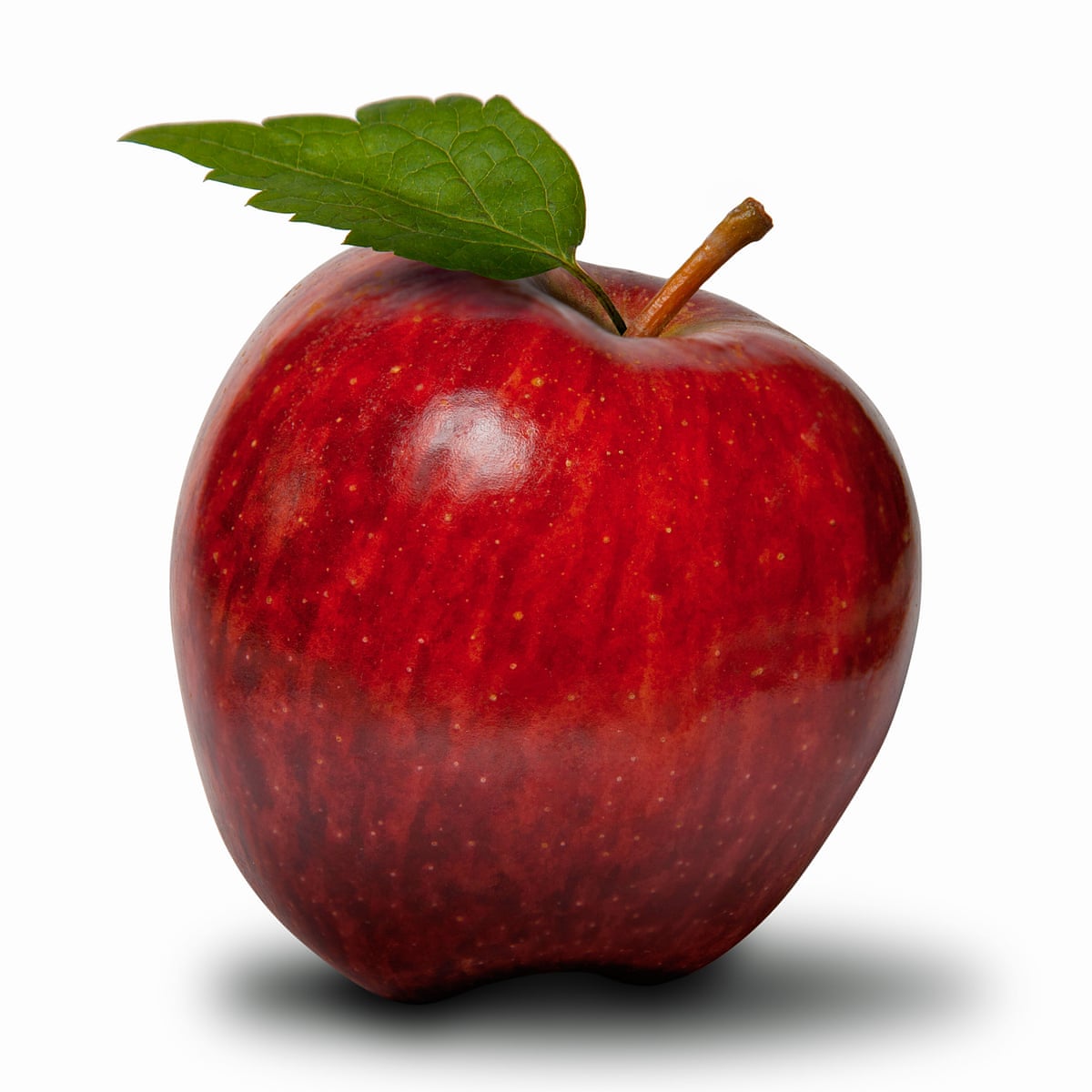 Did You Solve It This Apple Teaser Is Hard Core Science The Guardian Did You Solve It This Apple Teaser Is Hard Core Science The Guardian