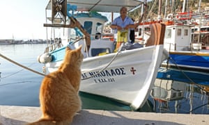 Pothia scene. Fishing boat arriving home, Kalymnos, Greece
