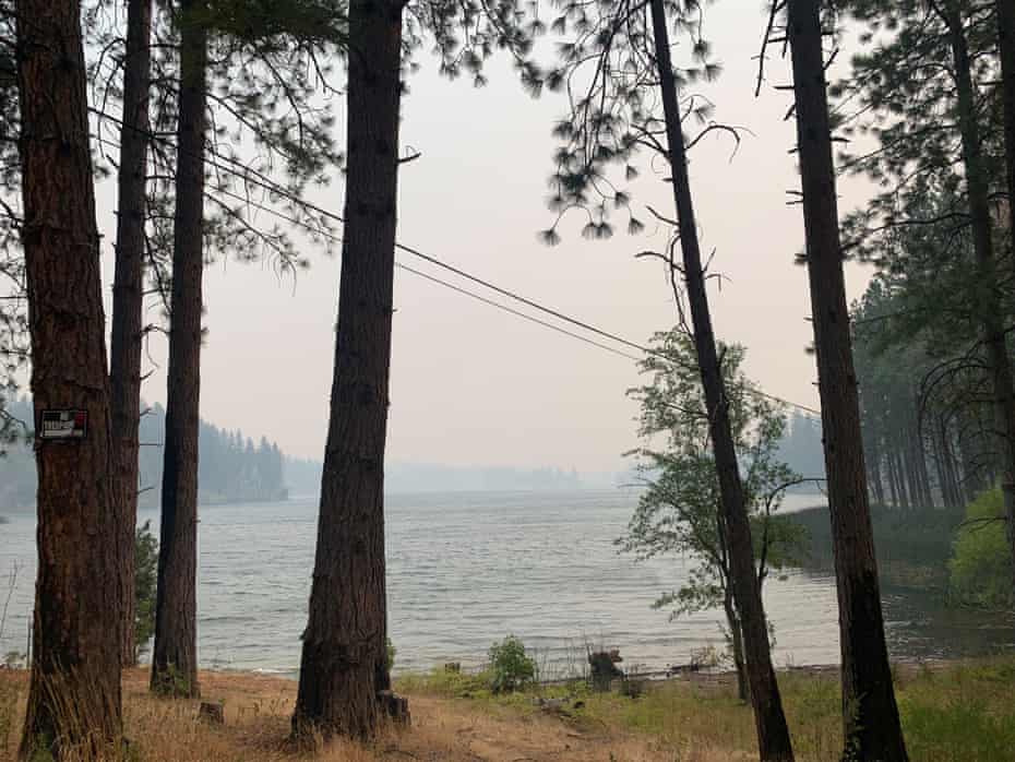 Wooded areas surround the picturesque Concow reservoir.