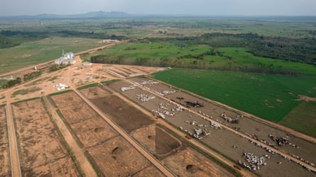 A farm in Marabá, Pará state