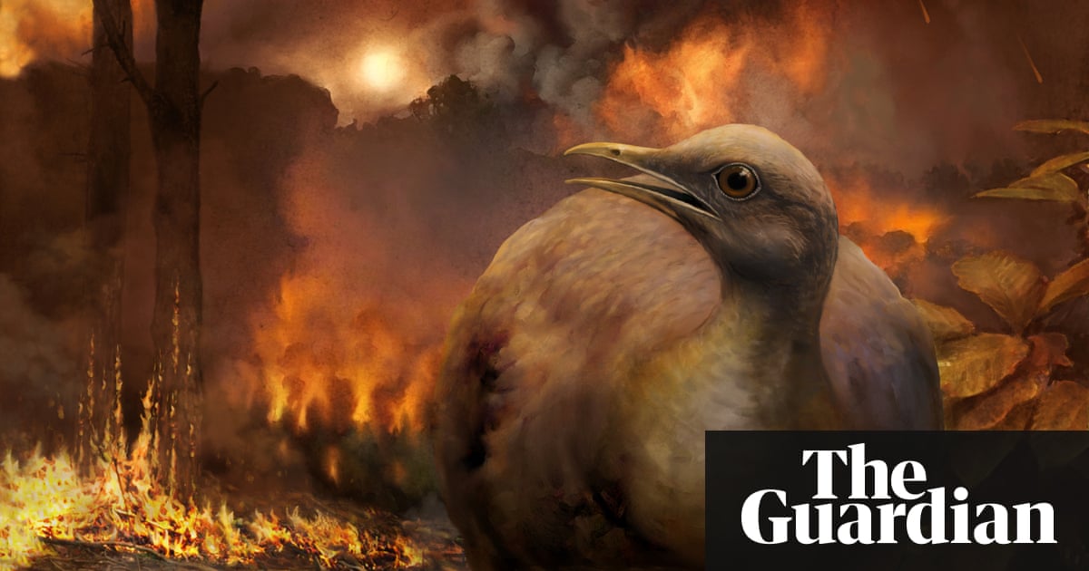 Birds had to relearn flight after meteor wiped out dinosaurs