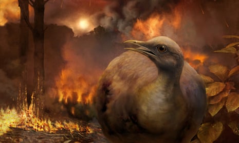 Flightless bird in a forest during a meteor - artist's illustration