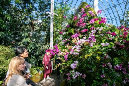 People looking at orchids