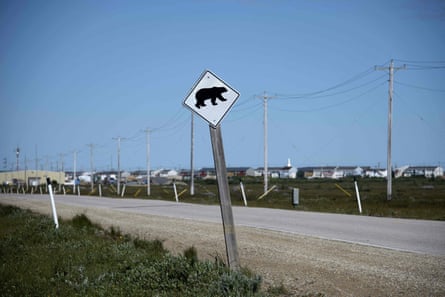 Polar Bear Dens Are Hard for Humans to See, but Drone-Mounted Radar Can  Help